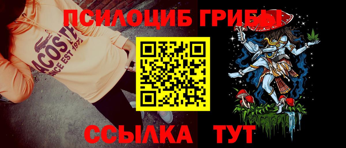 Псилоцибиновые грибы прущие грибы Шали