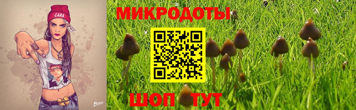 купить наркотики цена  Галлюциногенные грибы GOLDEN TEACHER  Вход с VPN  Шали  Псилоцибиновые грибы мицелий 
